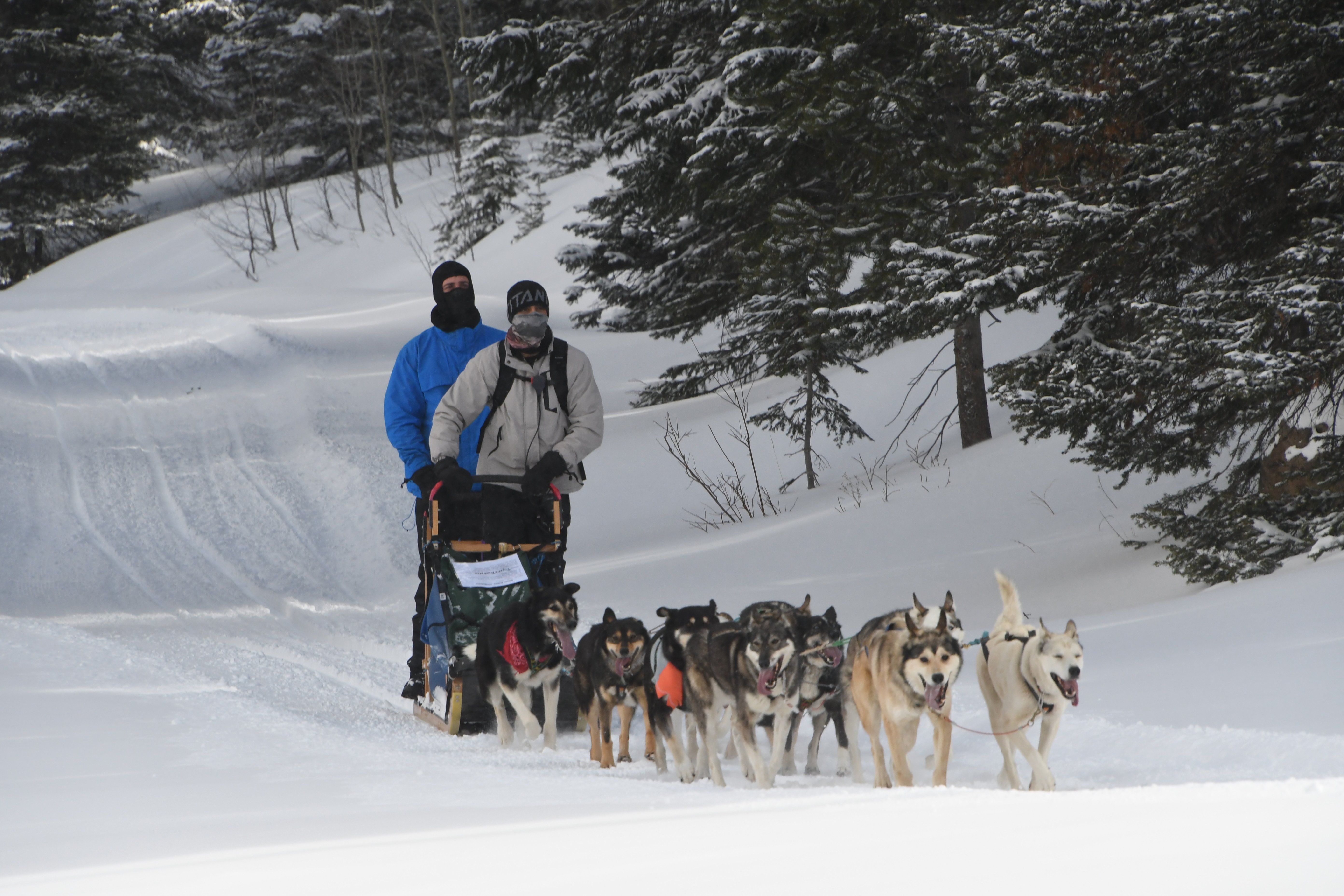 Summits of Strength group dog sledding